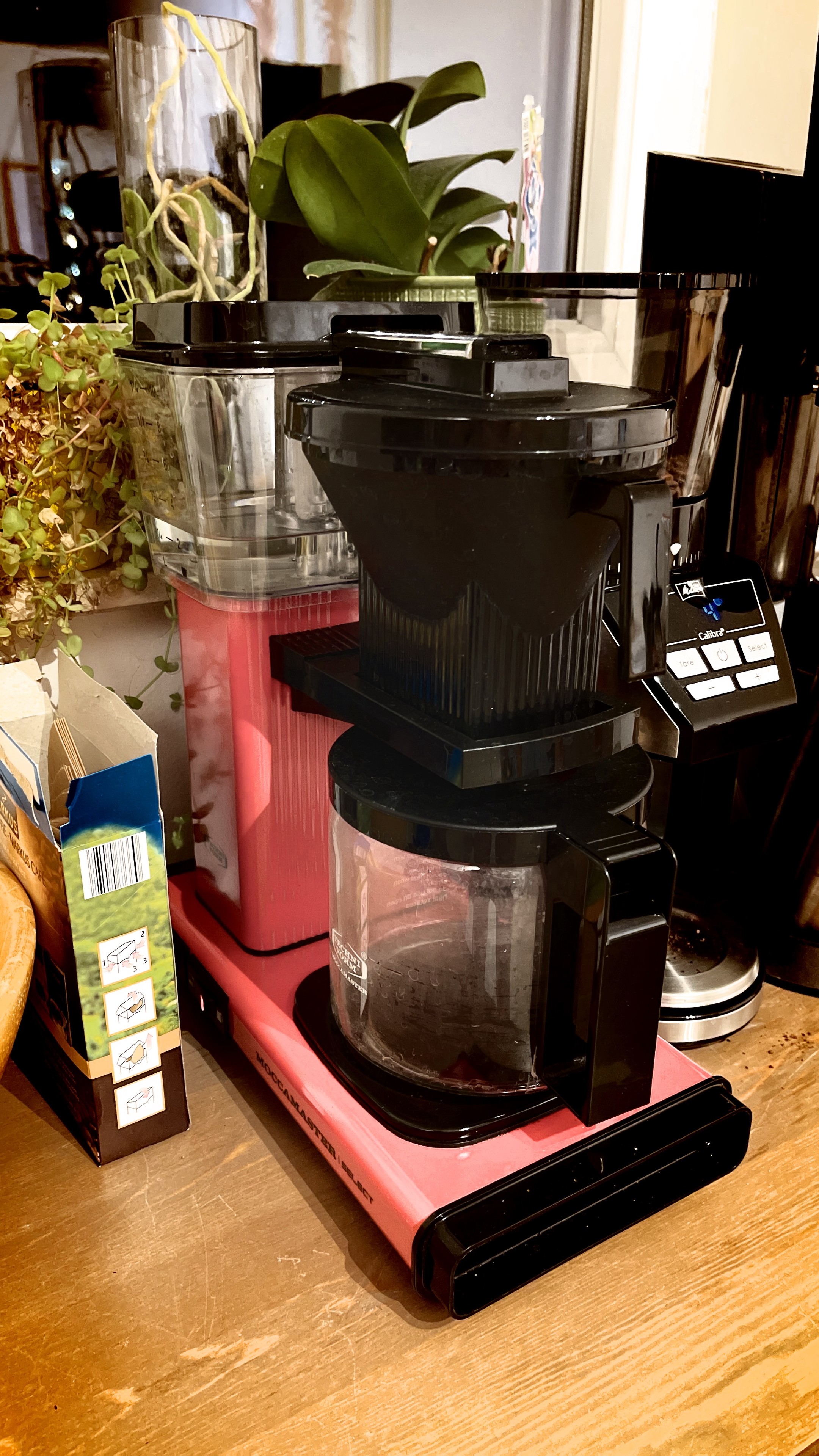 A coffee maker placed on a kitchen countertop, with a glass vase containing a plant next to it and other kitchen items in the background.
