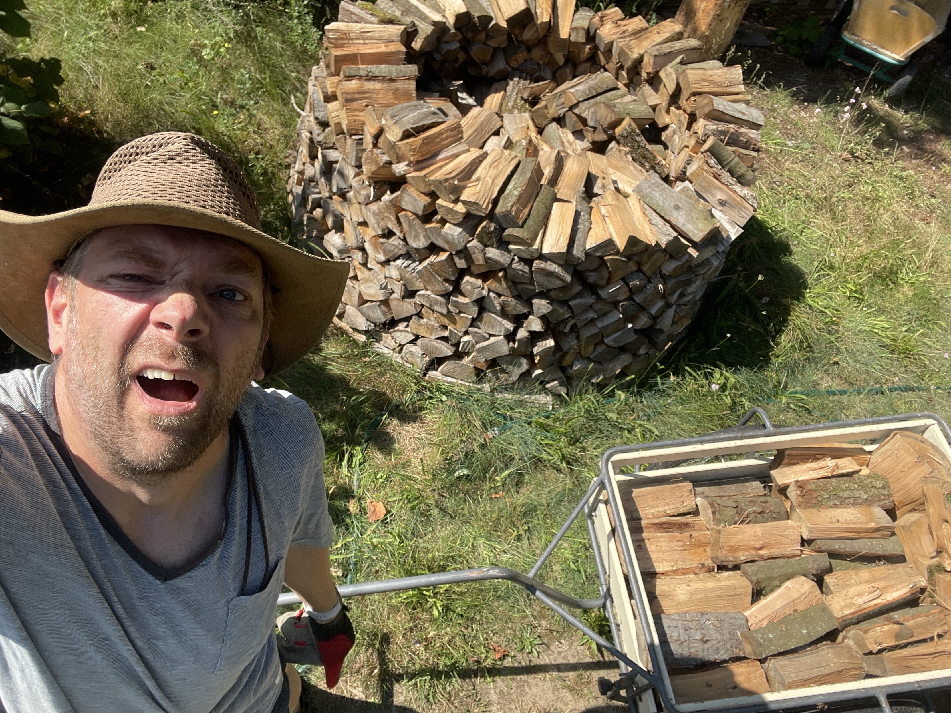 Eine Person, die einen Hut mit breiter Krempe trägt, macht ein Selfie, während sie frustriert aussieht, umgeben von Stapeln von Brennholz. Eine Schubkarre, die mit kleineren Holzstücken gefüllt ist, ist im Vordergrund sichtbar. Die Szene spielt im Freien in einer grasbewachsenen Gegend.