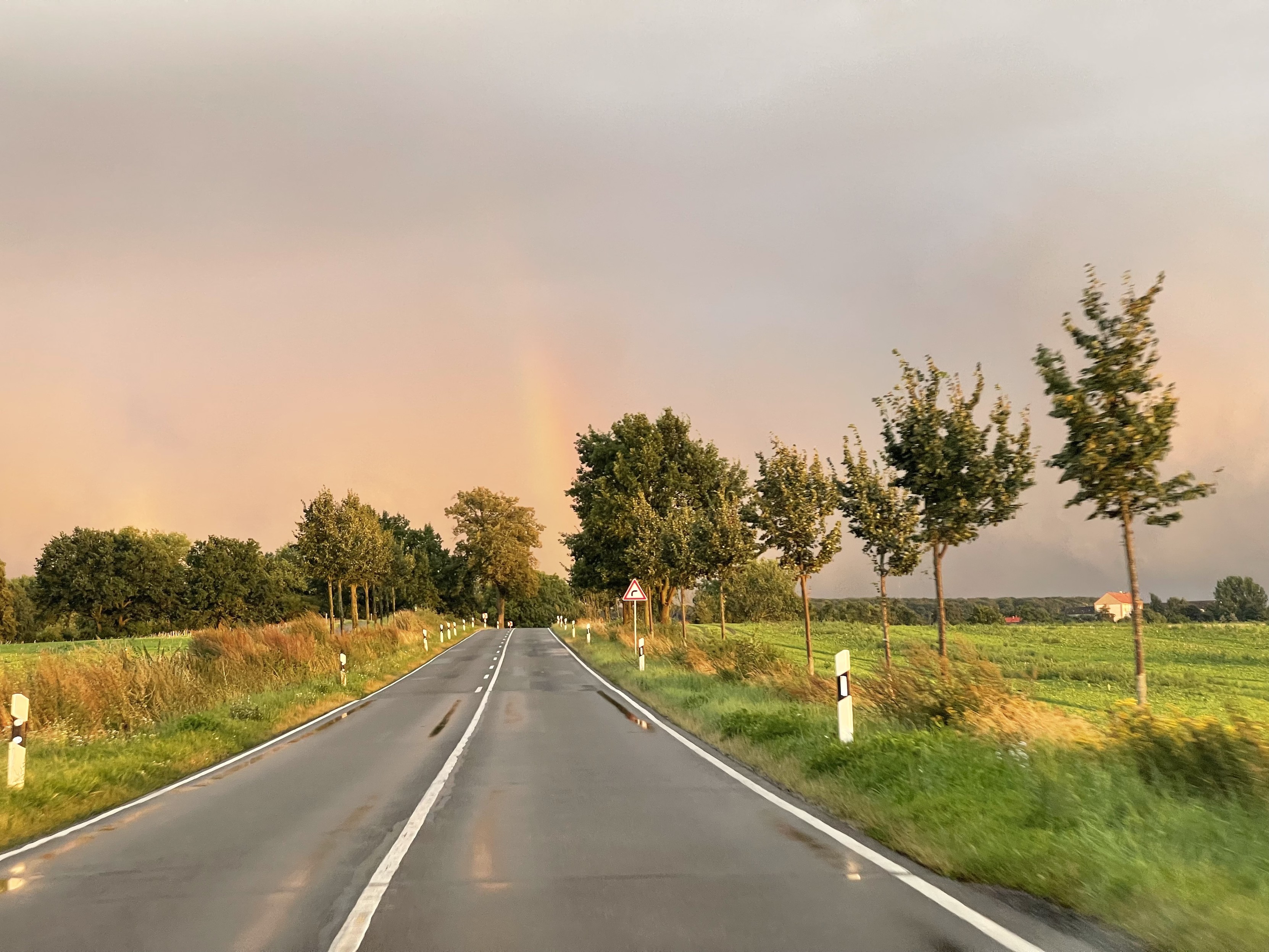 Eine nasse Landstraße mit Bäumen auf beiden Seiten unter einem bewölkten Himmel mit einem schwachen Regenbogen in der Ferne. Die Umgebung ist grün und weist auf Felder oder Ackerland hin.