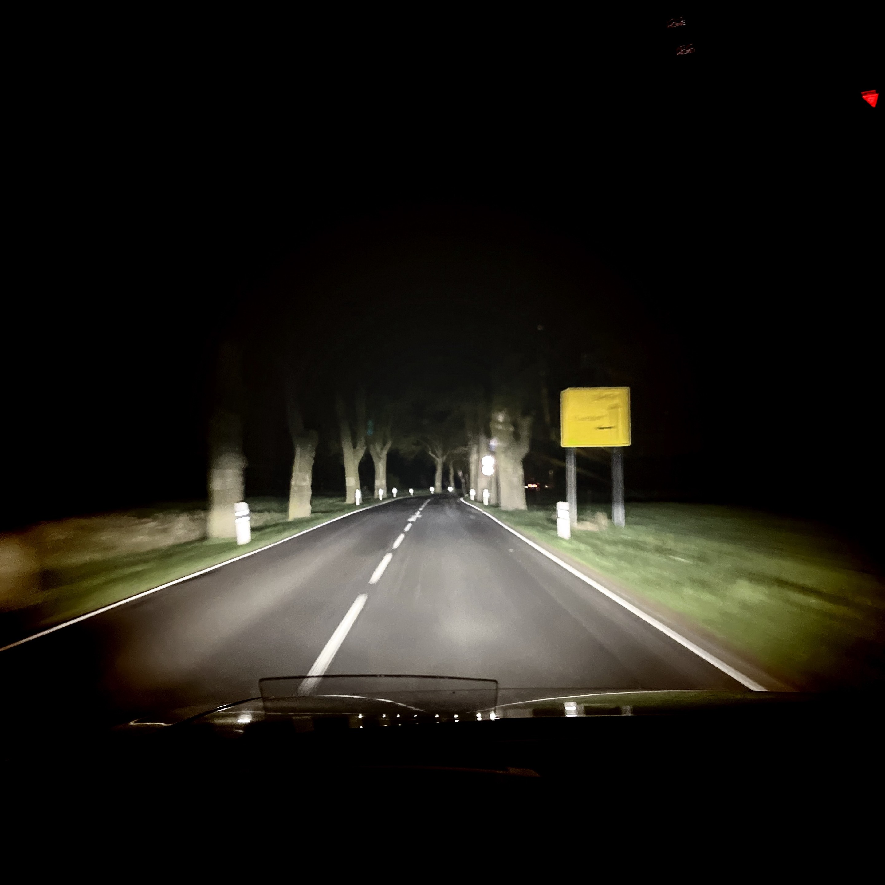 Nighttime view from inside a car driving down a tree-lined road with headlights illuminating the way.