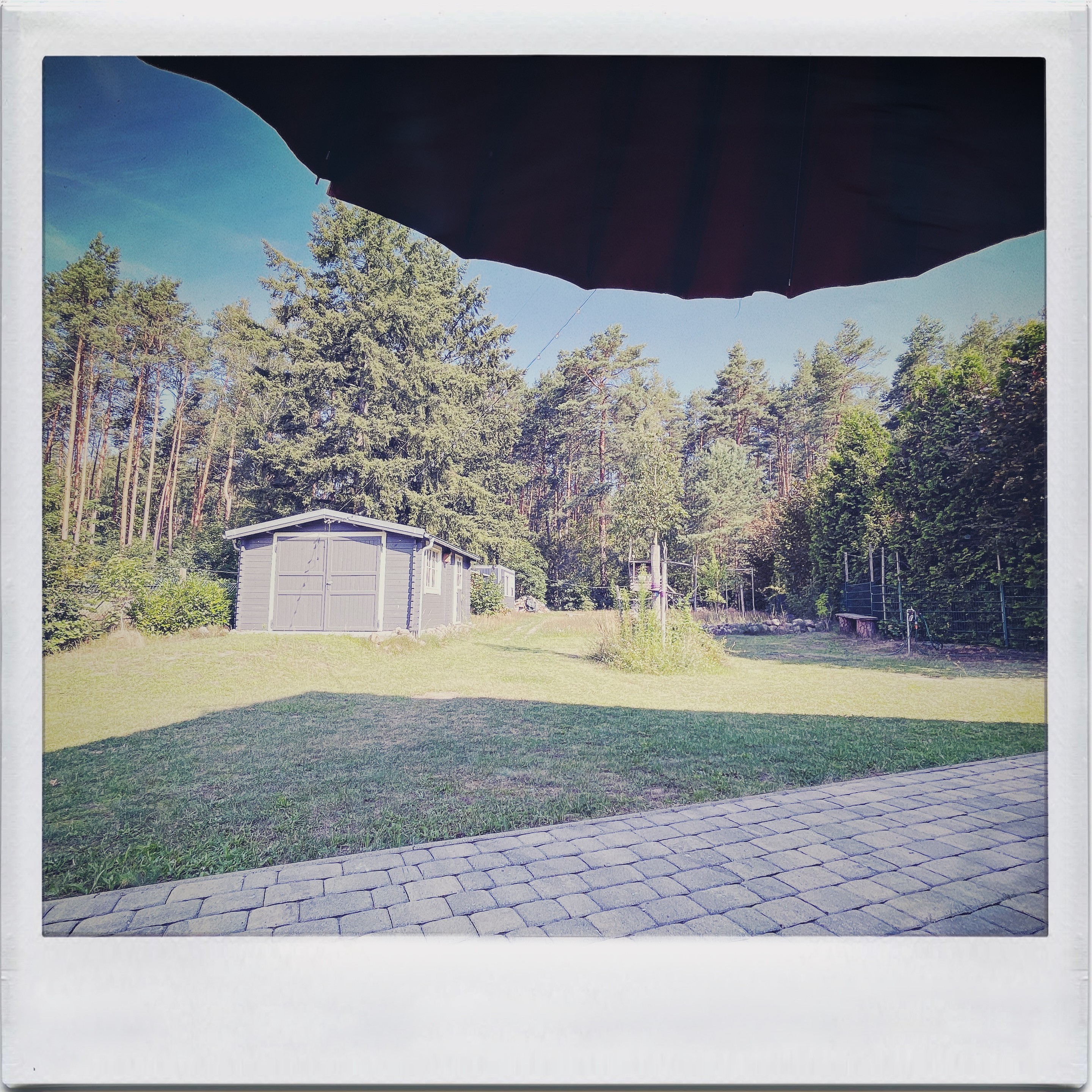 Outdoor-Szene mit einem grasbewachsenen Hinterhof, einem grauen Schuppen und einem von Bäumen gesäumten Hintergrund. Ein großer, dunkler Sonnenschirm bedeckt teilweise die Oberseite des Bildes und wirft einen Schatten über den gepflasterten Vordergrund.