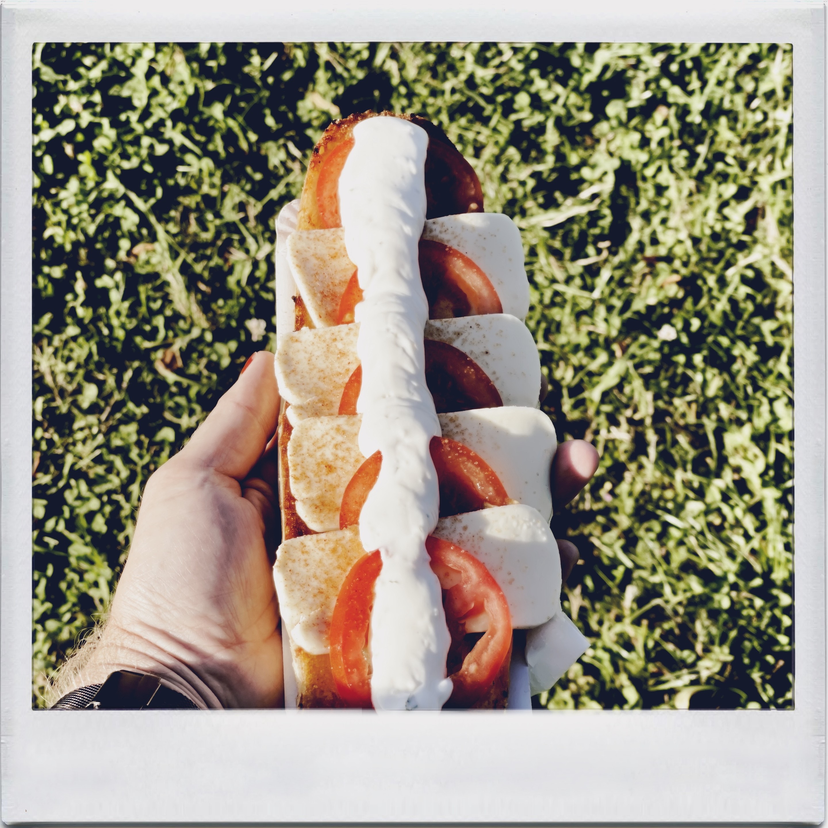 Hand hält ein Sandwich mit Tomatenscheiben, Mayonnaise und Salat, mit Gras im Hintergrund.