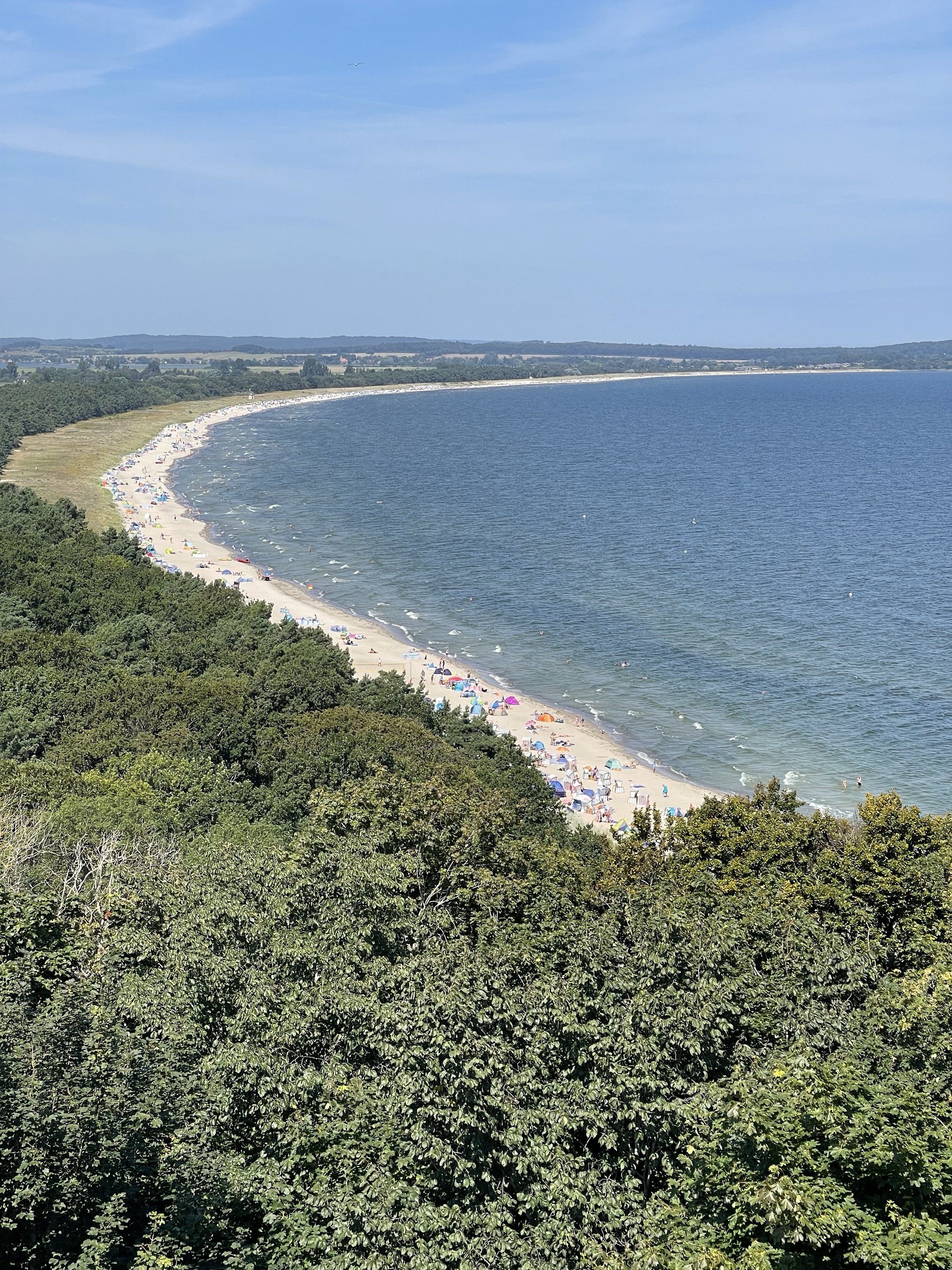 Luftaufnahme eines Sandstrandes, der von Bäumen gesäumt und mit Menschen unter bunten Sonnenschirmen gefüllt ist, neben einem ruhigen blauen Meer unter einem klaren Himmel.