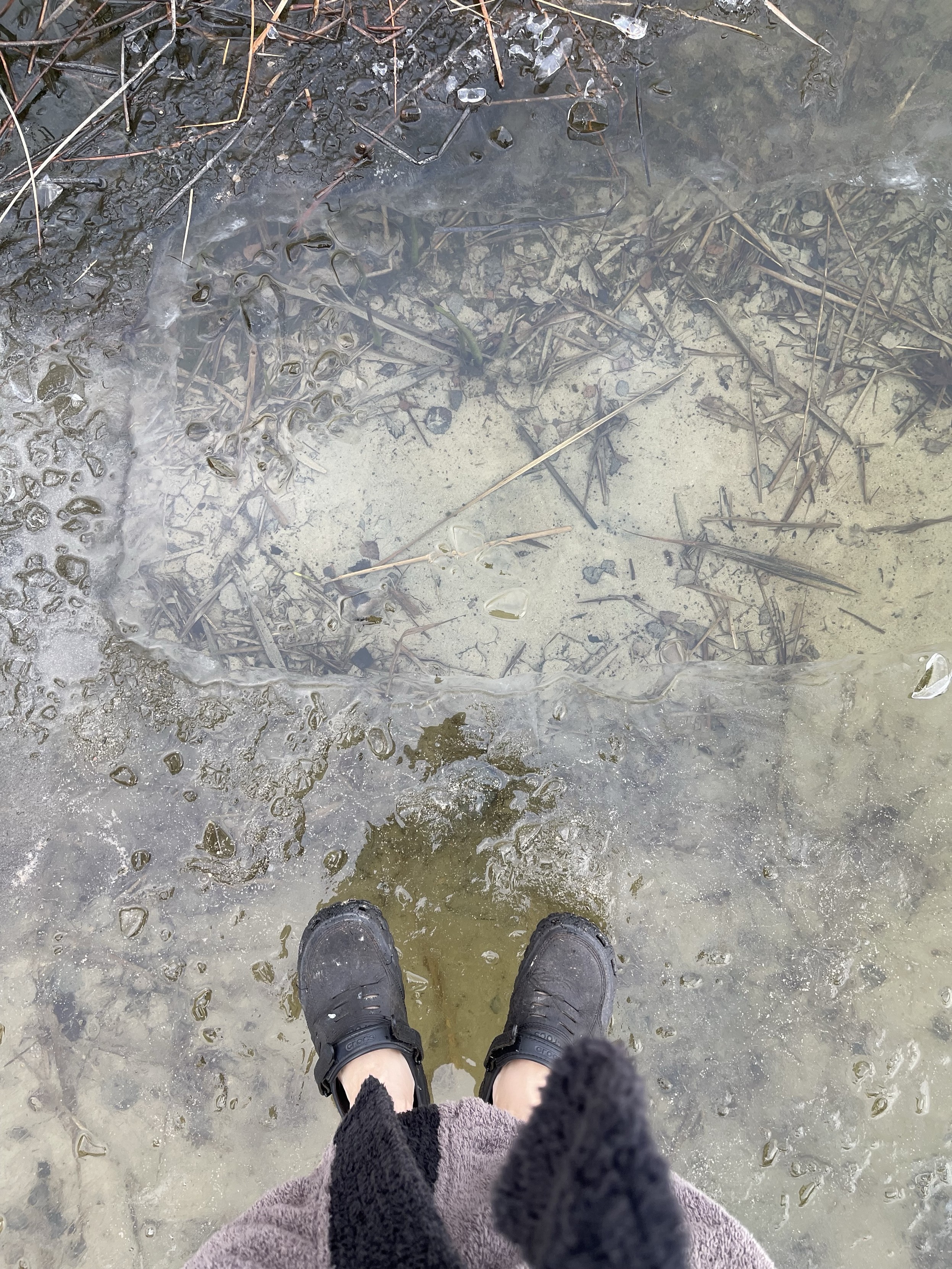 Person standing on ice at the edge of clear water with visible underwater plants and mud, wearing black shoes.